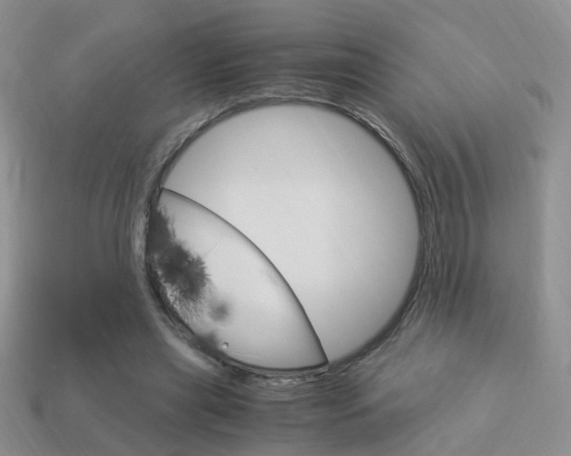 X0000114230445200910091331