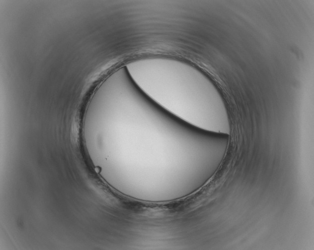 X0000114230446200910091331