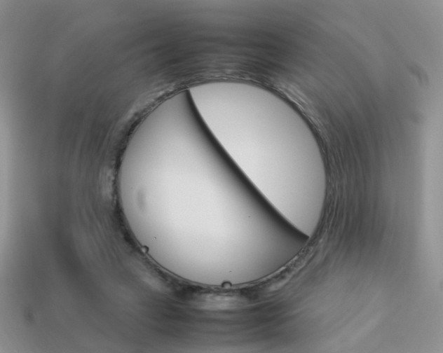 X0000114230449200910091331