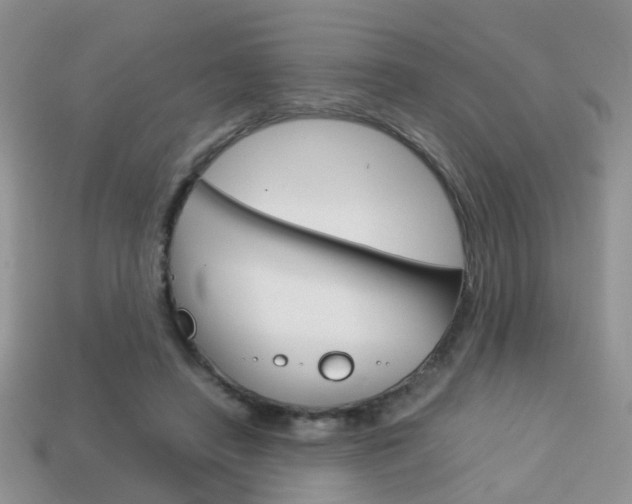 X0000114230450200910091331