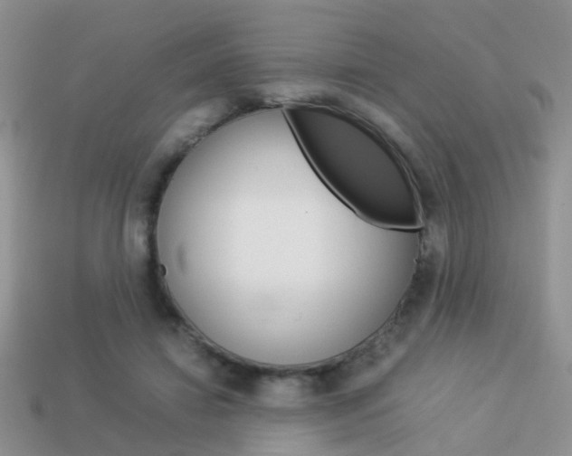 X0000114230452200910091331