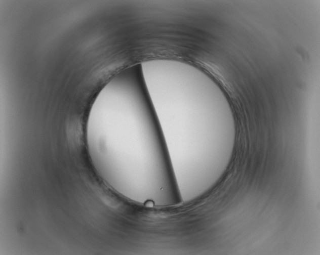X0000114230453200910091331