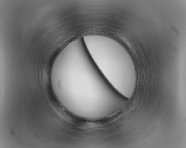 X0000114230455200910091331