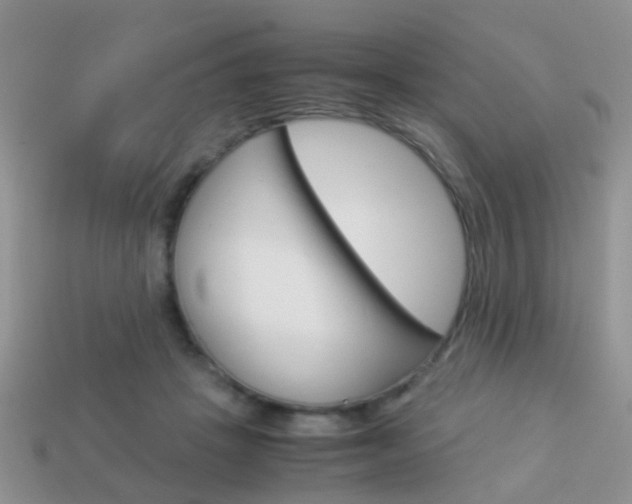 X0000114230457200910091331