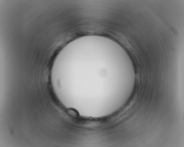 X0000114230458200910091332