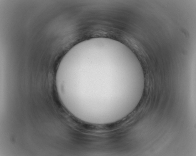 X0000114230463200910091332