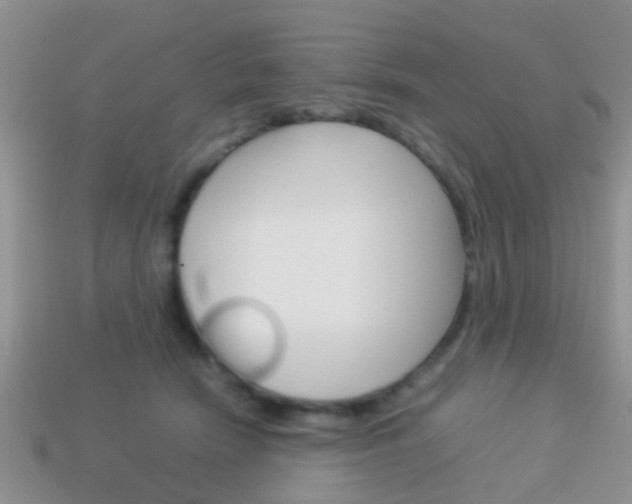 X0000114230466200910091332