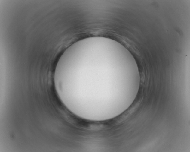 X0000114230470200910091332