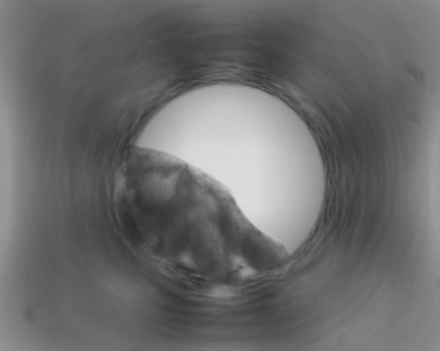 X0000114230471200910091332