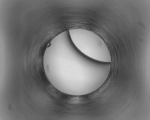 X0000114230473200910091332