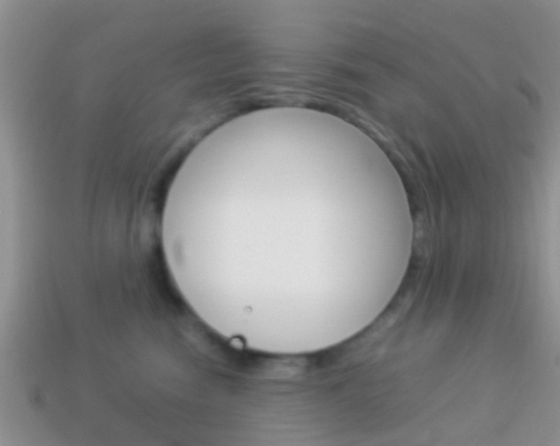 X0000114230474200910091332