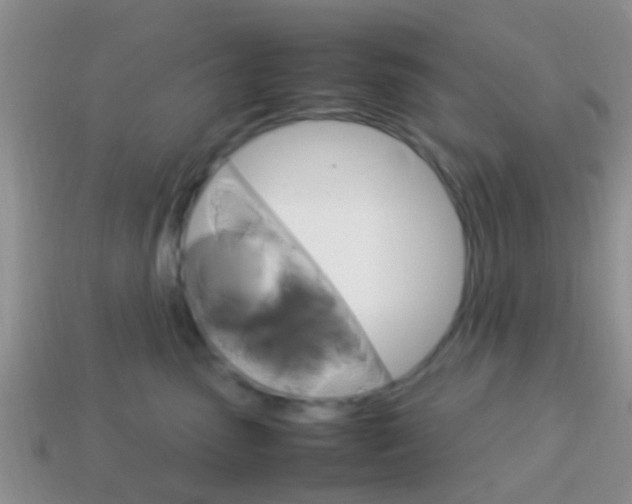 X0000114230475200910091332