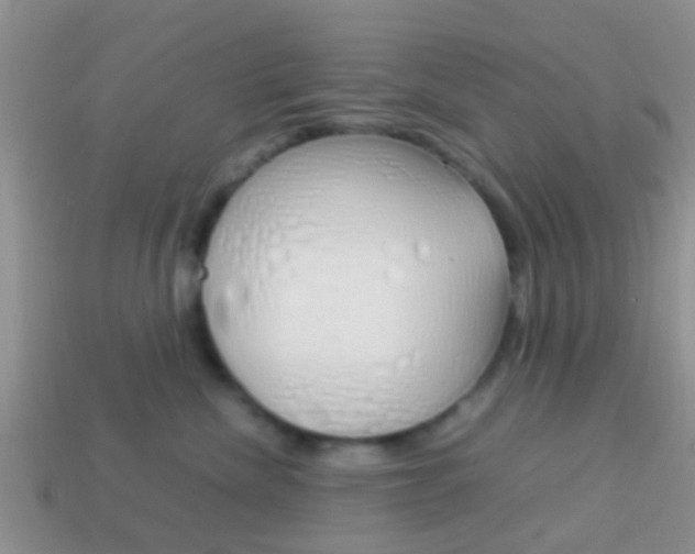 X0000114230476200910091332