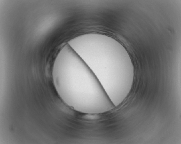 X0000114230477200910091332