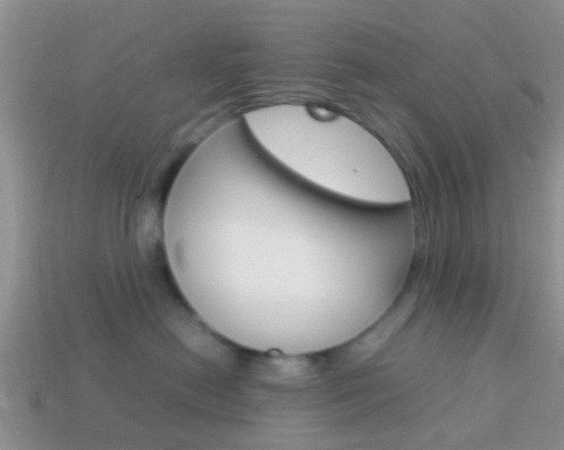 X0000114230478200910091332