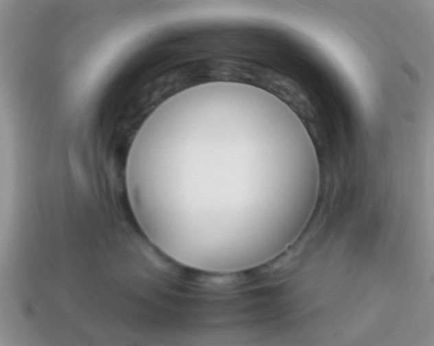 X0000114230479200910091332