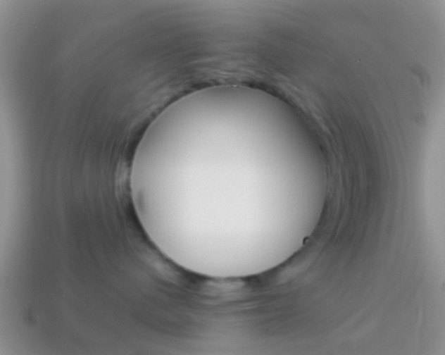 X0000114230480200910091332