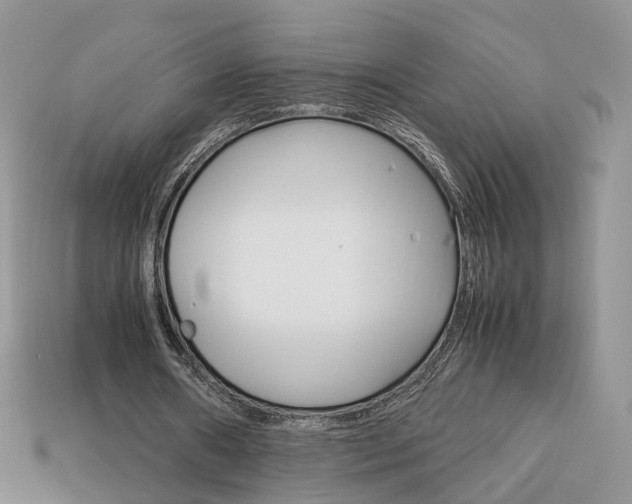 X0000114230482200910091331