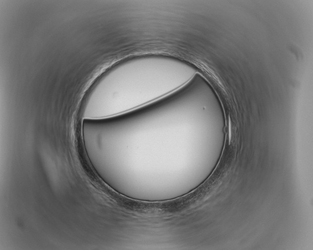 X0000114230483200910091331