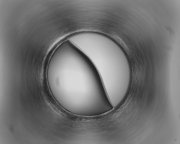 X0000114230484200910091331