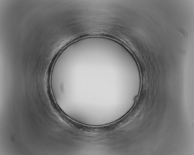 X0000114230485200910091331