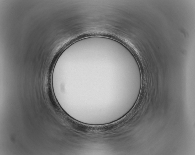 X0000114230487200910091331