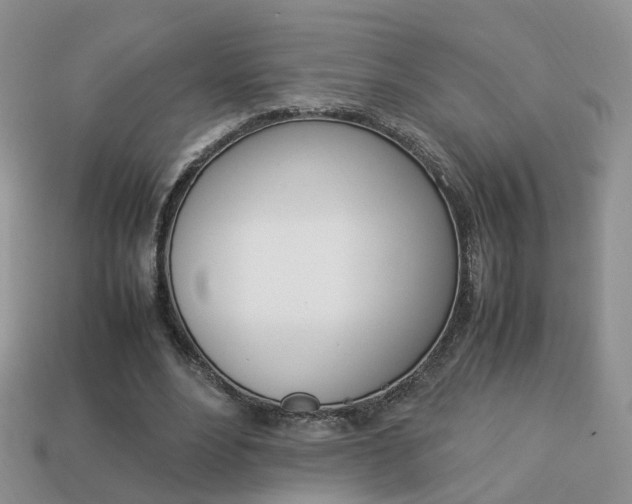 X0000114230488200910091331