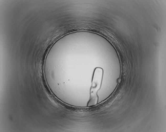 X0000114230489200910091331