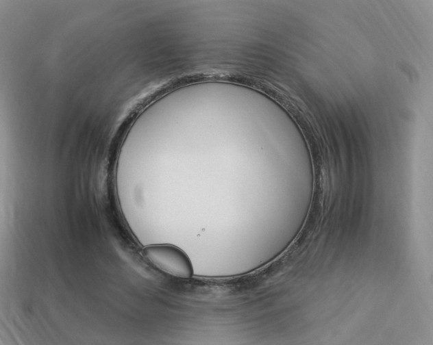 X0000114230492200910091331
