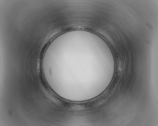 X0000114230494200910091331