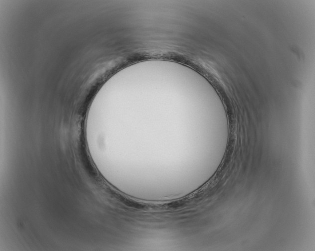 X0000114230495200910091331