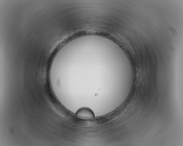 X0000114230496200910091331