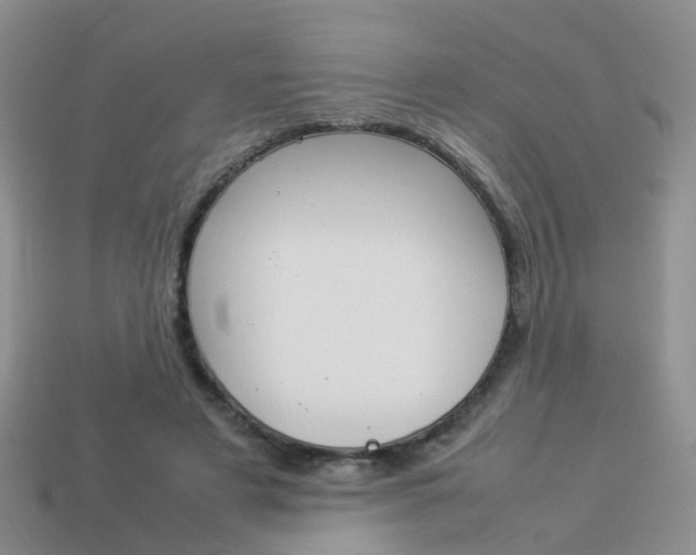X0000114230497200910091331