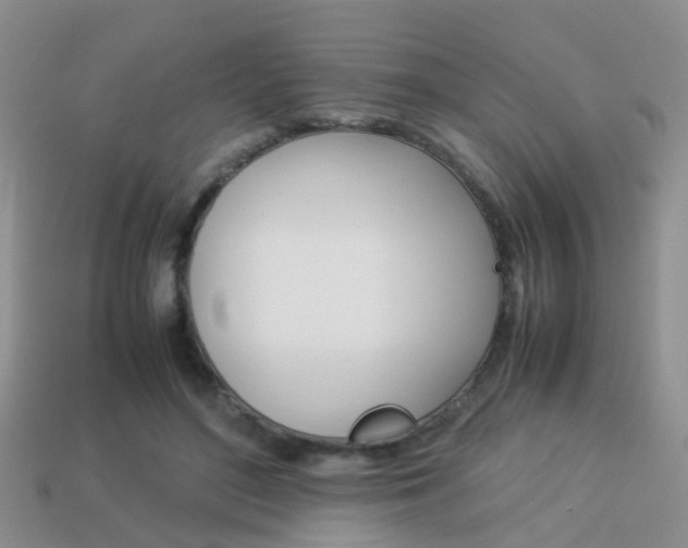 X0000114230500200910091331