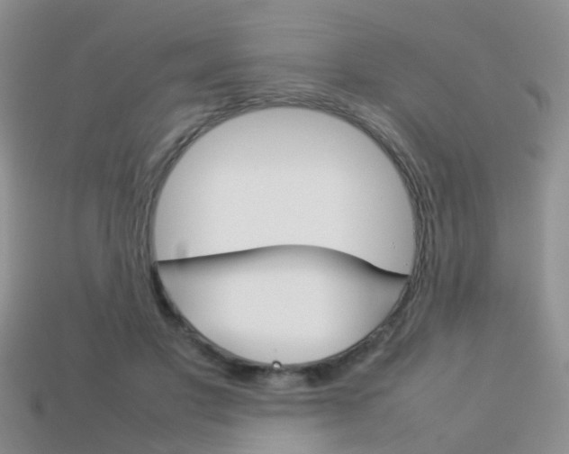 X0000114230501200910091331