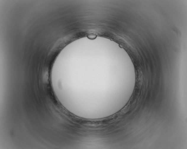 X0000114230502200910091331