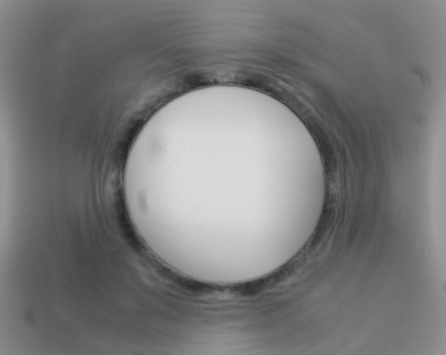 X0000114230503200910091331