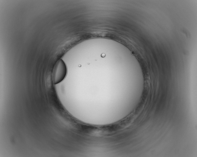 X0000114230504200910091331