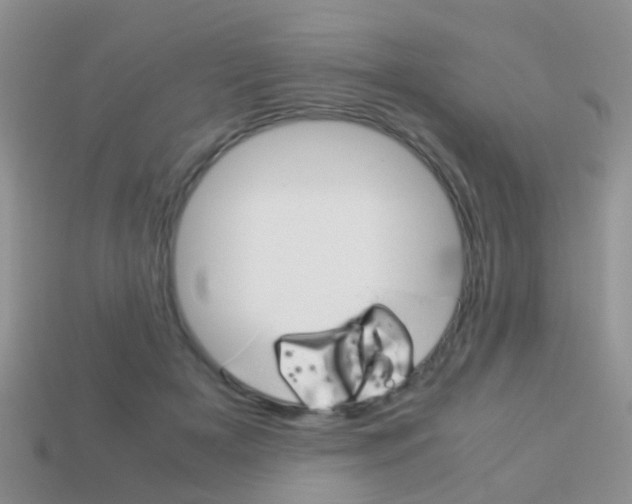 X0000114230505200910091331