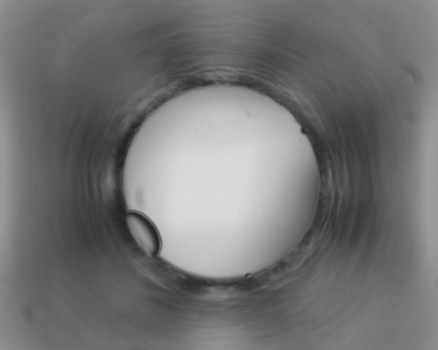 X0000114230508200910091331