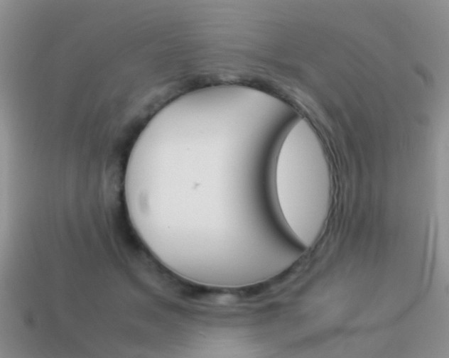 X0000114230509200910091331