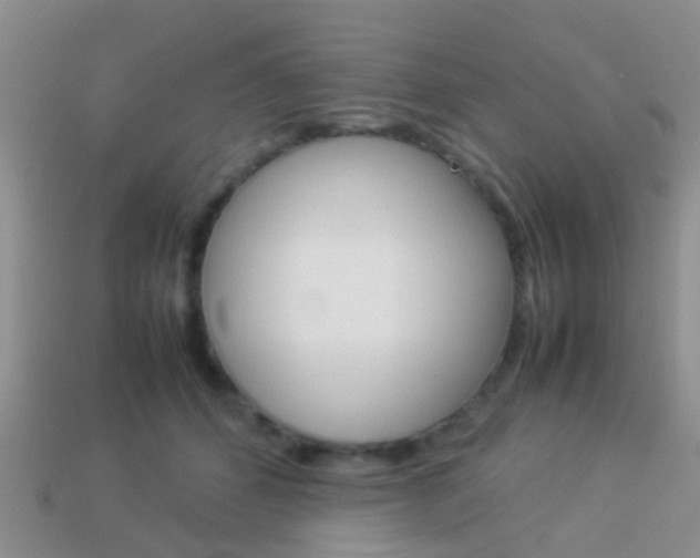 X0000114230512200910091331