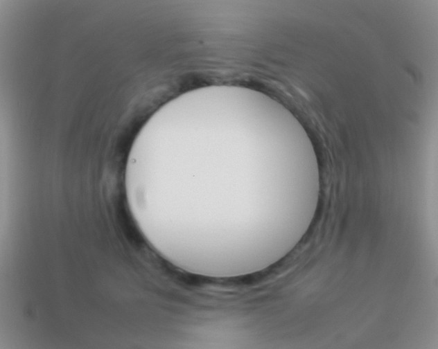 X0000114230515200910091331