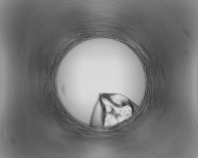 X0000114230517200910091331