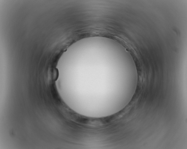 X0000114230520200910091331