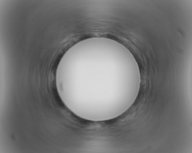 X0000114230523200910091331