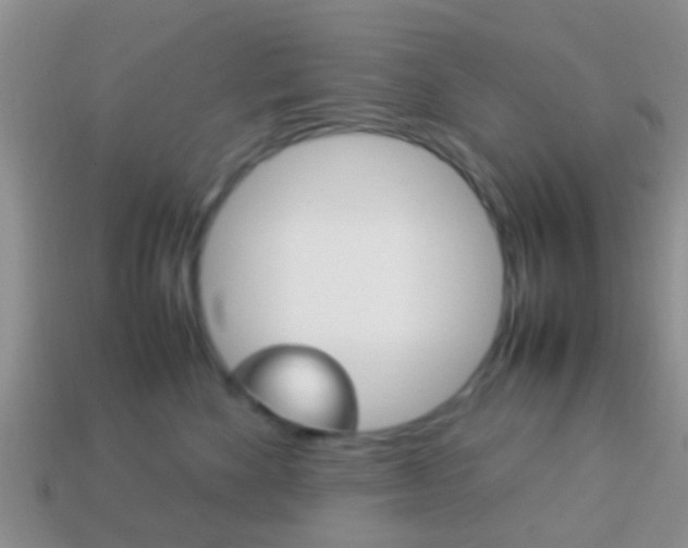 X0000114230524200910091331