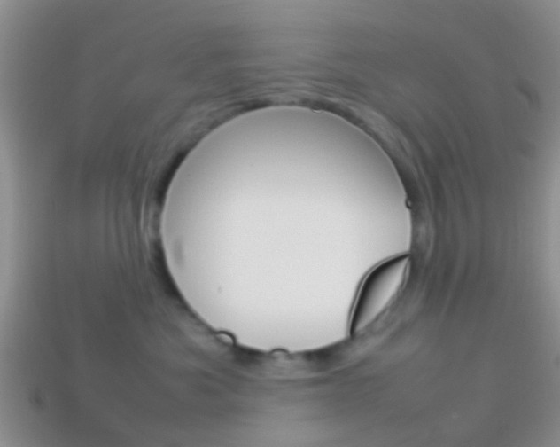 X0000114230525200910091331