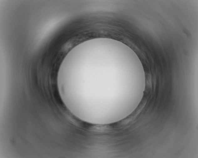 X0000114230526200910091331