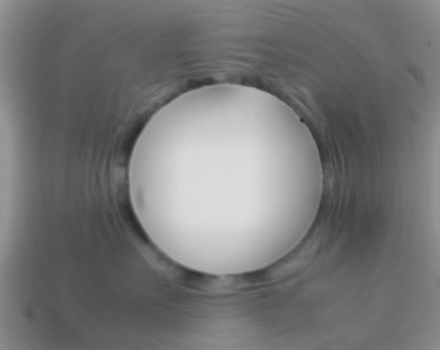 X0000114230527200910091331